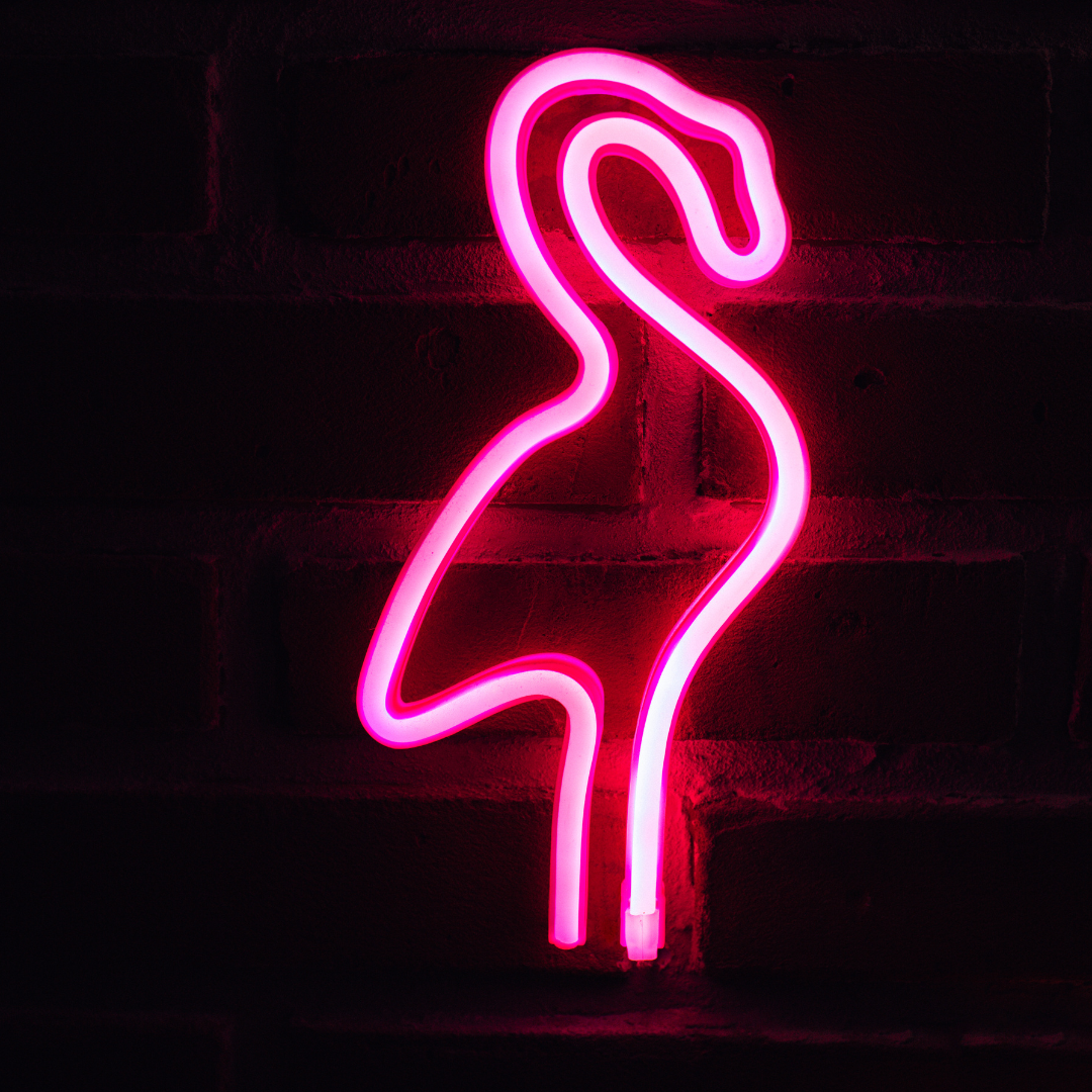 Neon Signage Service